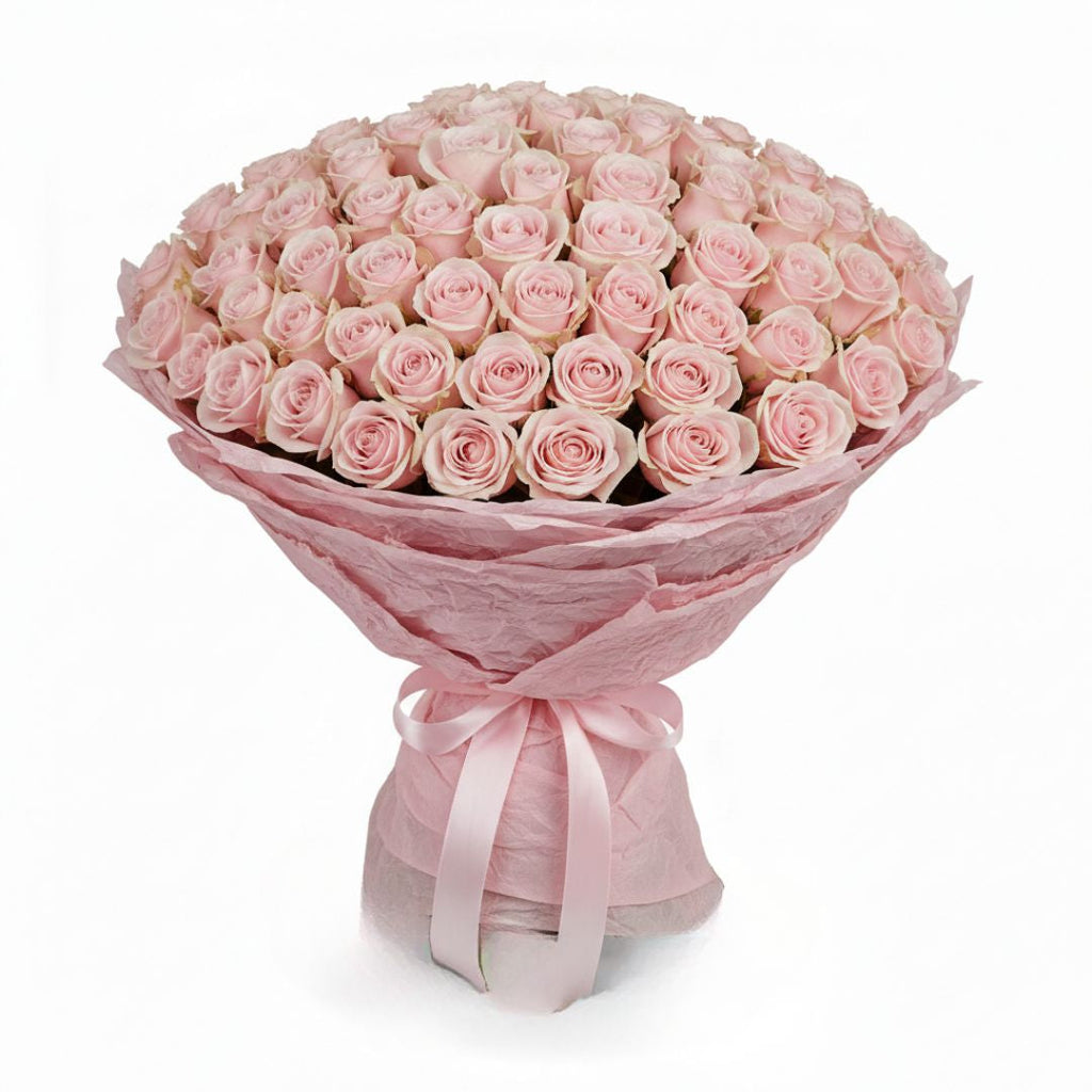 Rosy Wishes-101 Light Pink Roses