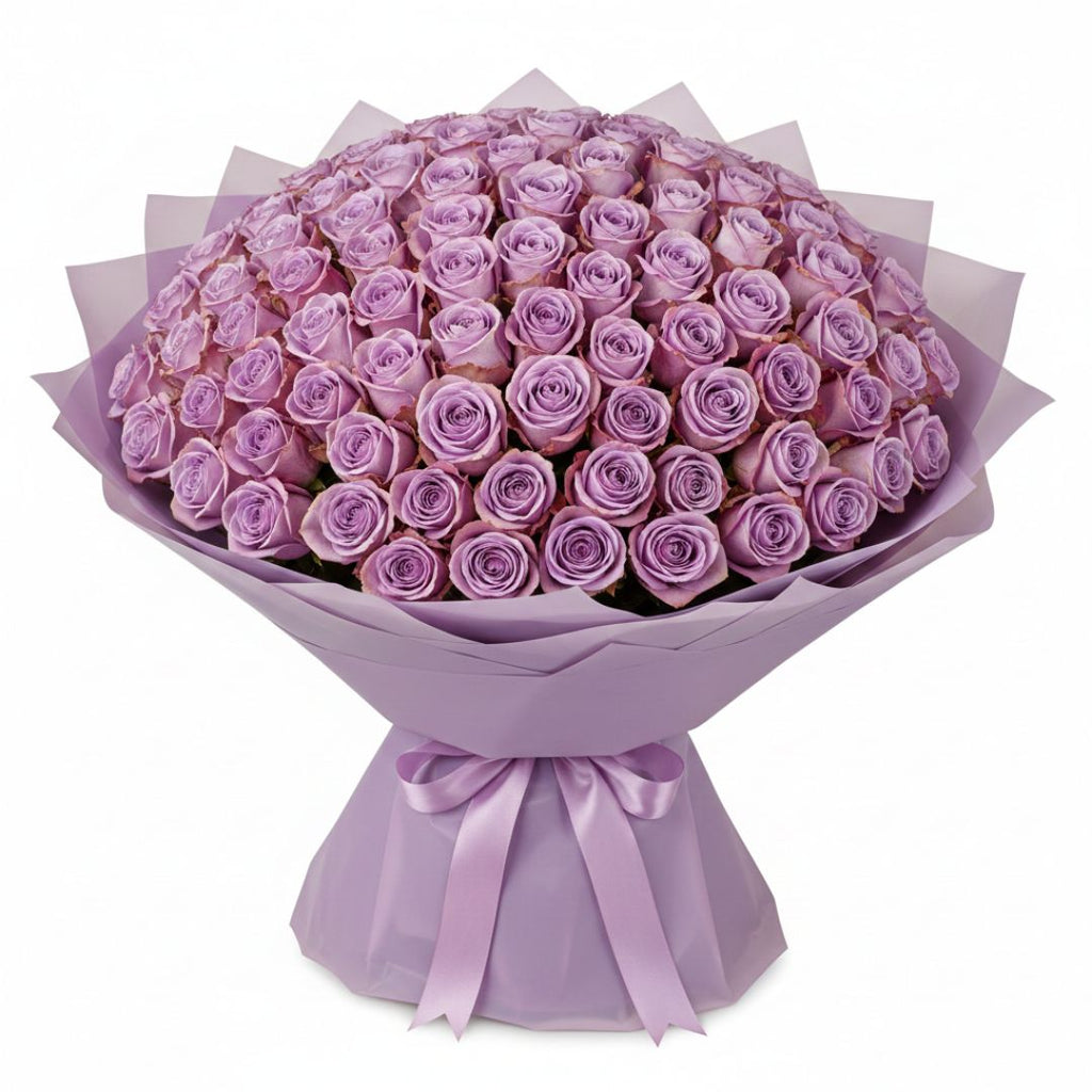 Purple Triumph-300 Purple Roses