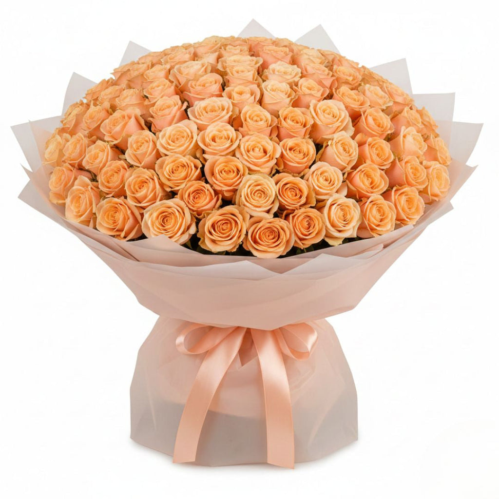 Sweet Peach Love-500 Peach Roses