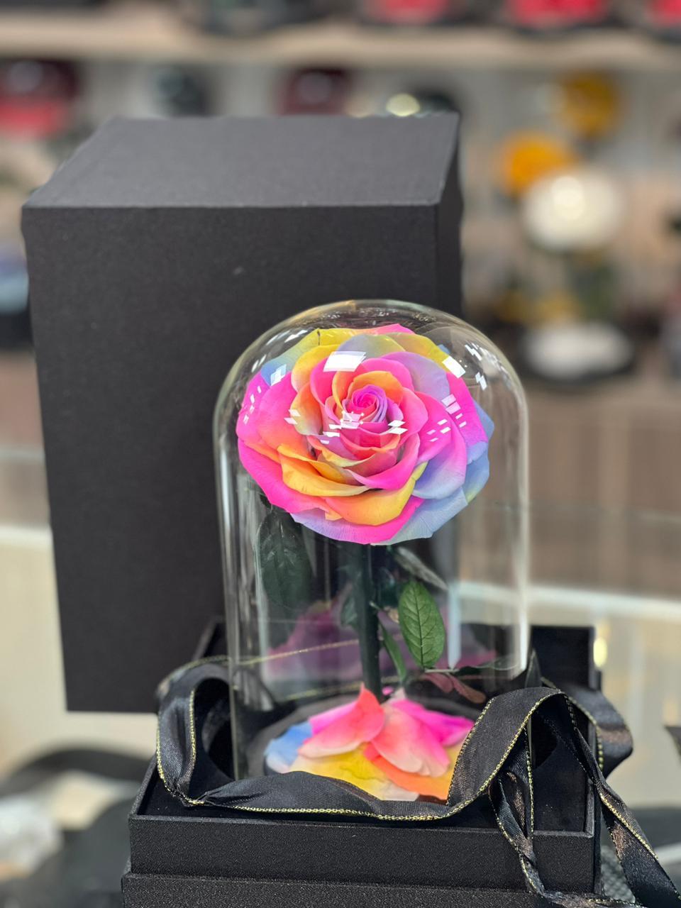 Spectrum of Love – Rainbow Preserved Rose