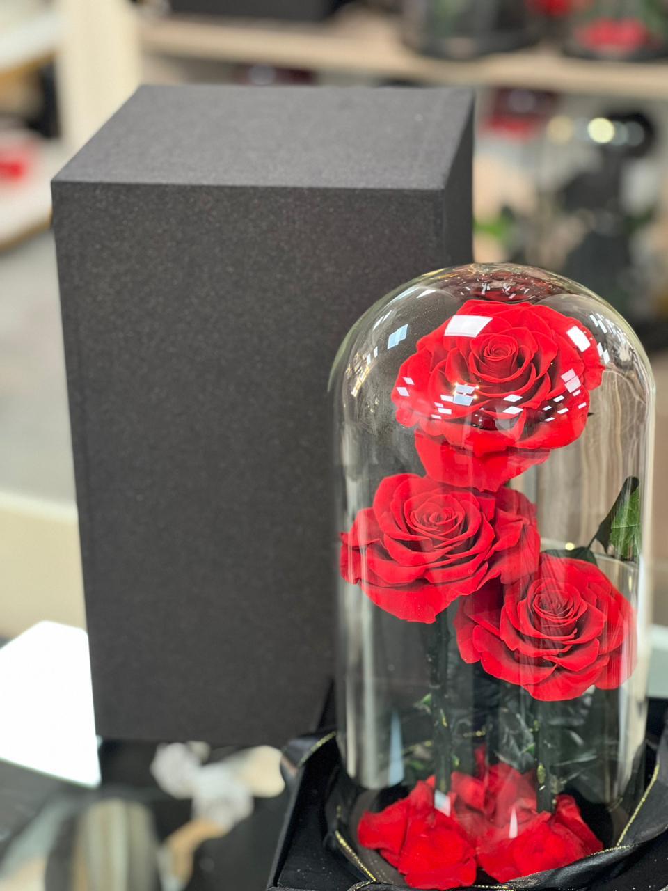 Scarlet Trio – Preserved Red Roses