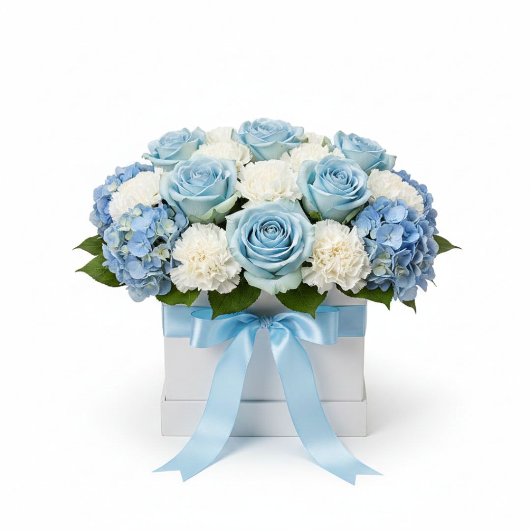 Skyward Love - Valentine's Special Box