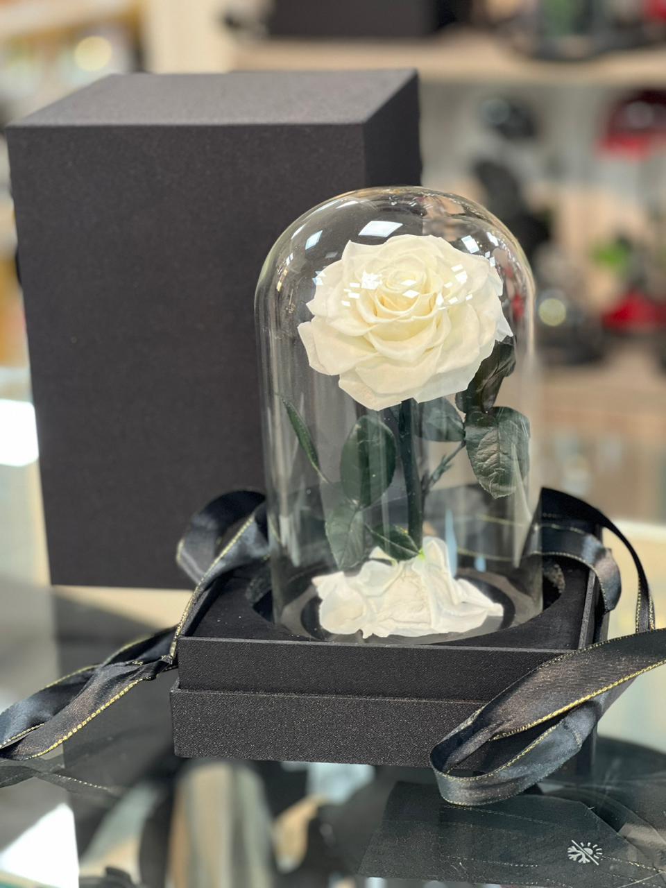 Snowy Bliss – Preserved White Rose