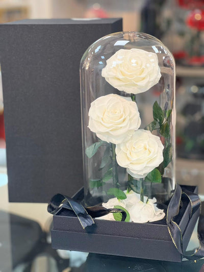 Snow Kiss – White Forever Roses by Black Petals Flowers